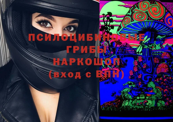 дмт Алзамай
