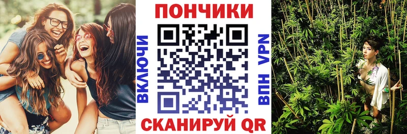 Бошки марихуана AK-47  кракен ссылки  Зверево  как найти  